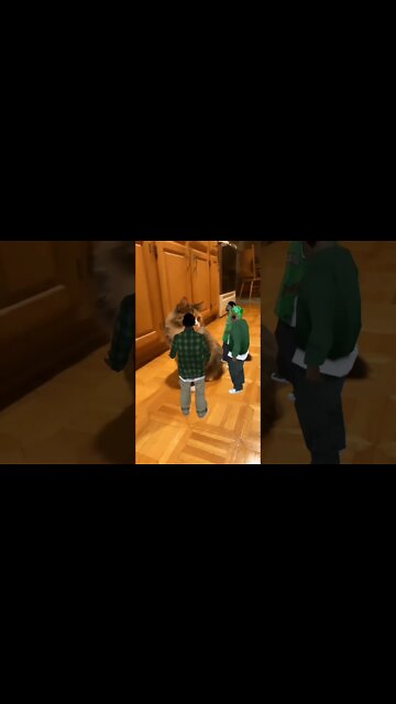 funny viral / big cat 🐈🐈🐈#short #cuteanimals #funnycat