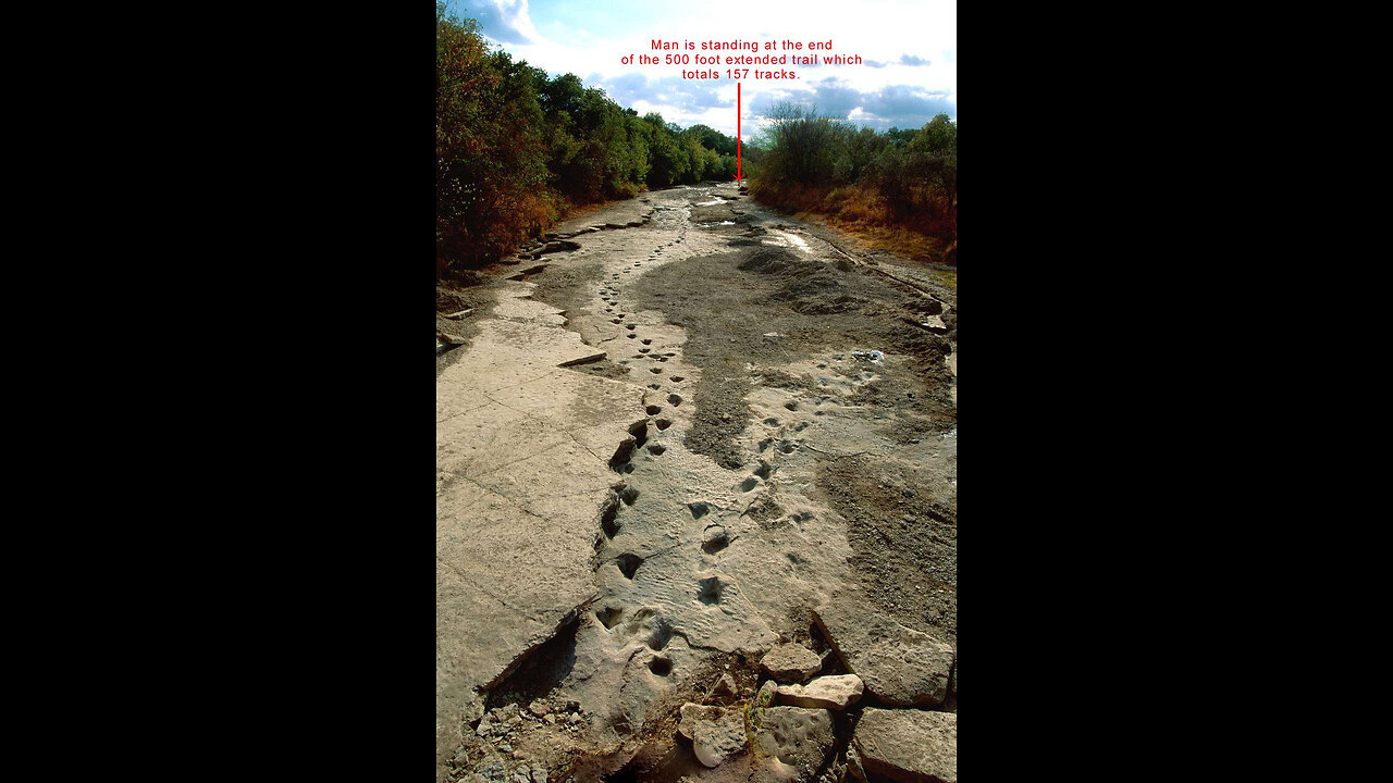 Lone Ranger Dinosaur Trackway