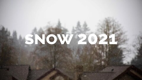 A Snow Story 2021: Some relief from the monotony