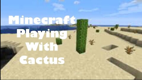 Fun with cactus