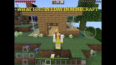 What I Did In One Day In Minecraft!!!