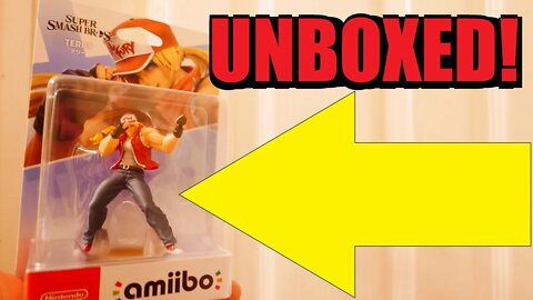 Unboxing a Terry Amiibo
