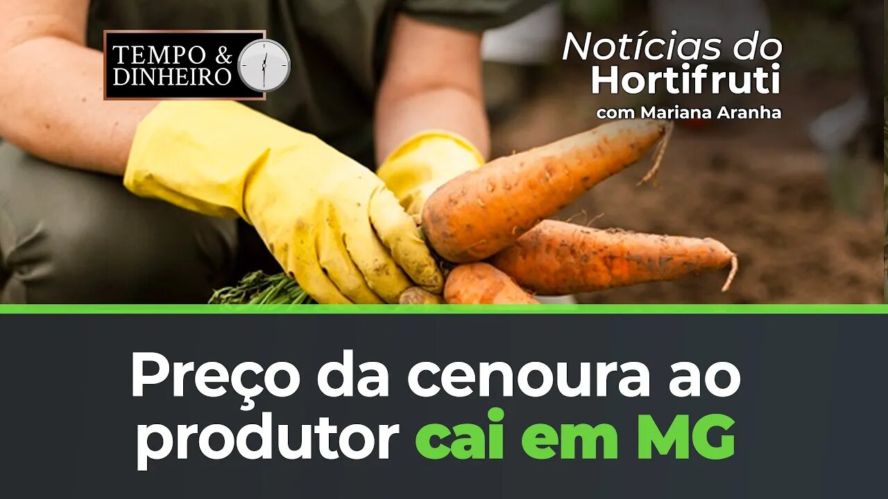 Preço da cenoura ao produtor cai em MG