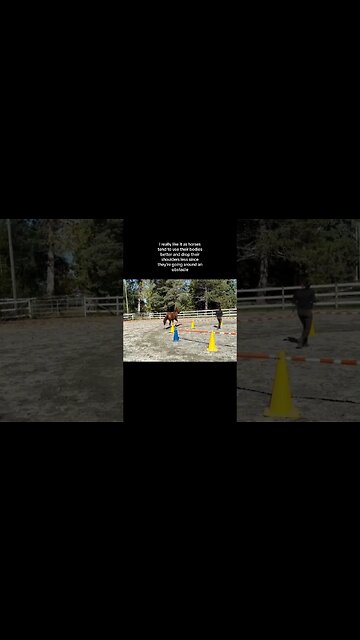 Liberty Work With My Young Horse