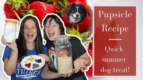 Making Pupsicles! No Bake Easy Dog Treats!