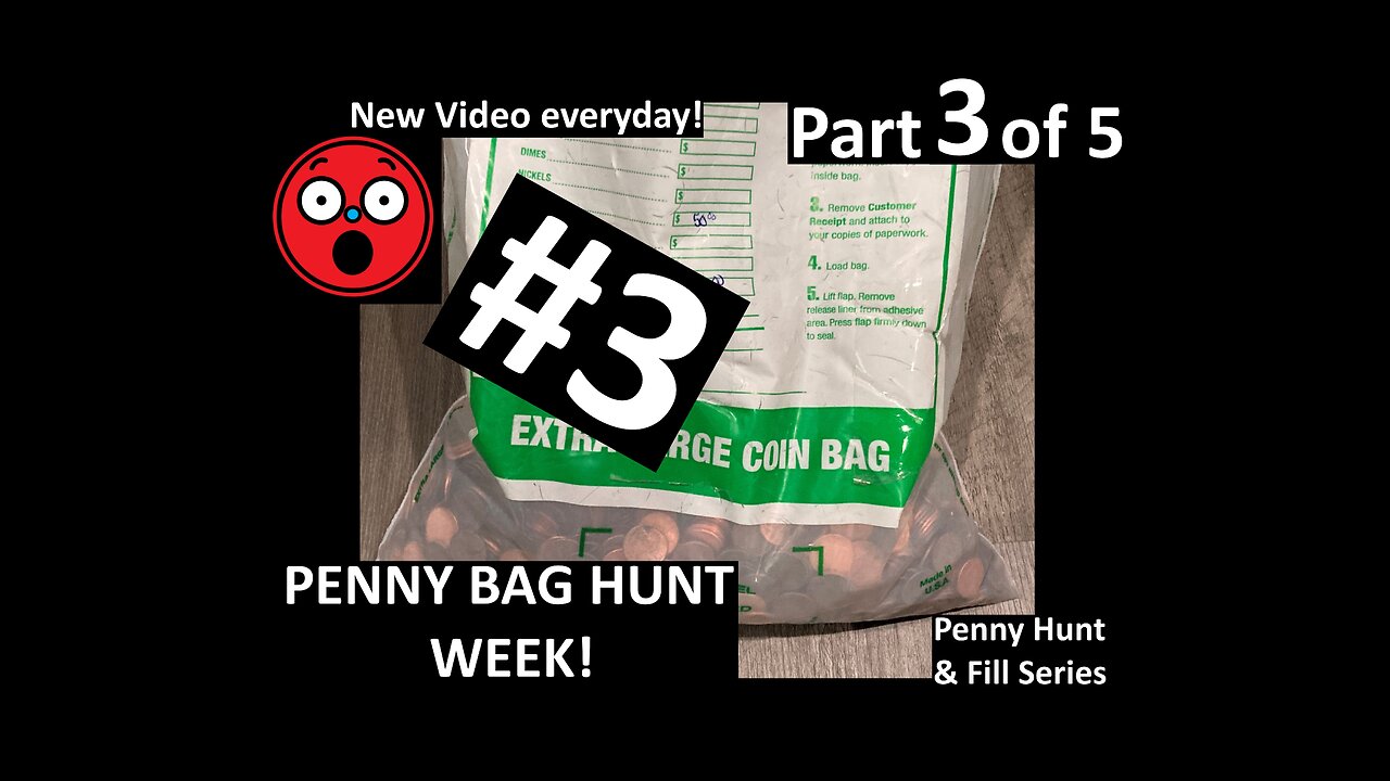 Penny Bag Part 3 of 5