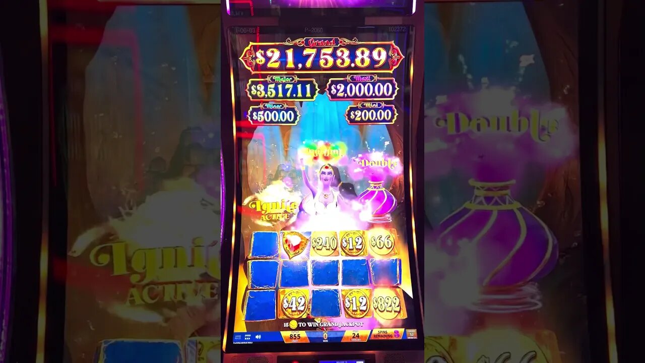 My Wish Came True, a MASSIVE JACKPOT!