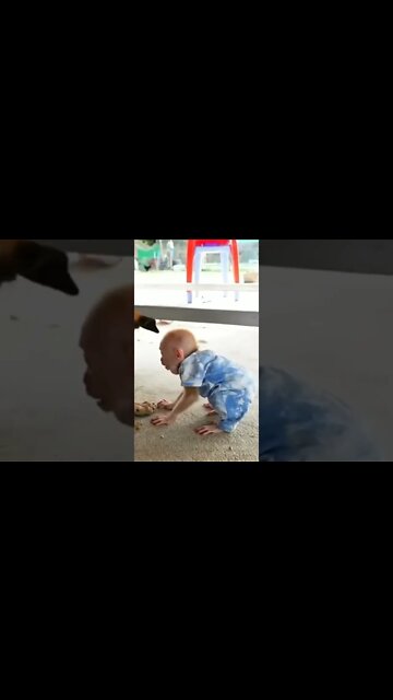 Credo. olha o tamanho do ponto desse macaquinho.