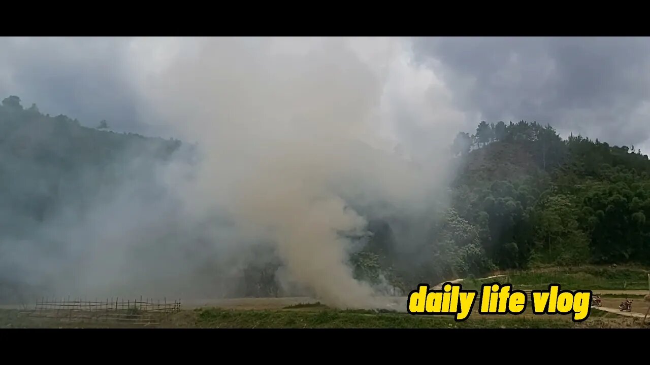 lustful fields are burned for the new crop | daily life vlog
