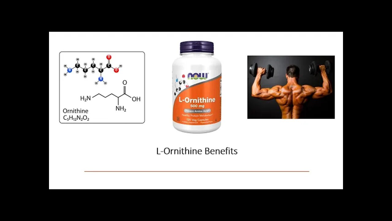 Ornithine - Amino Acid Supplement Benefits