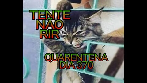 TENTE NÃO RIR - QUARENTENA DIA 370 😷😵