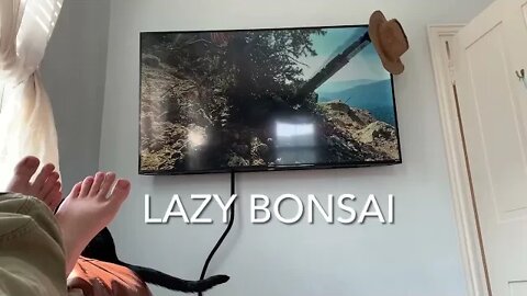Lazy Bonsai