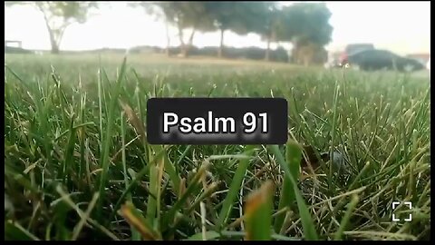 VICTORY OVER GUILT - DAILY DEVOTIONAL