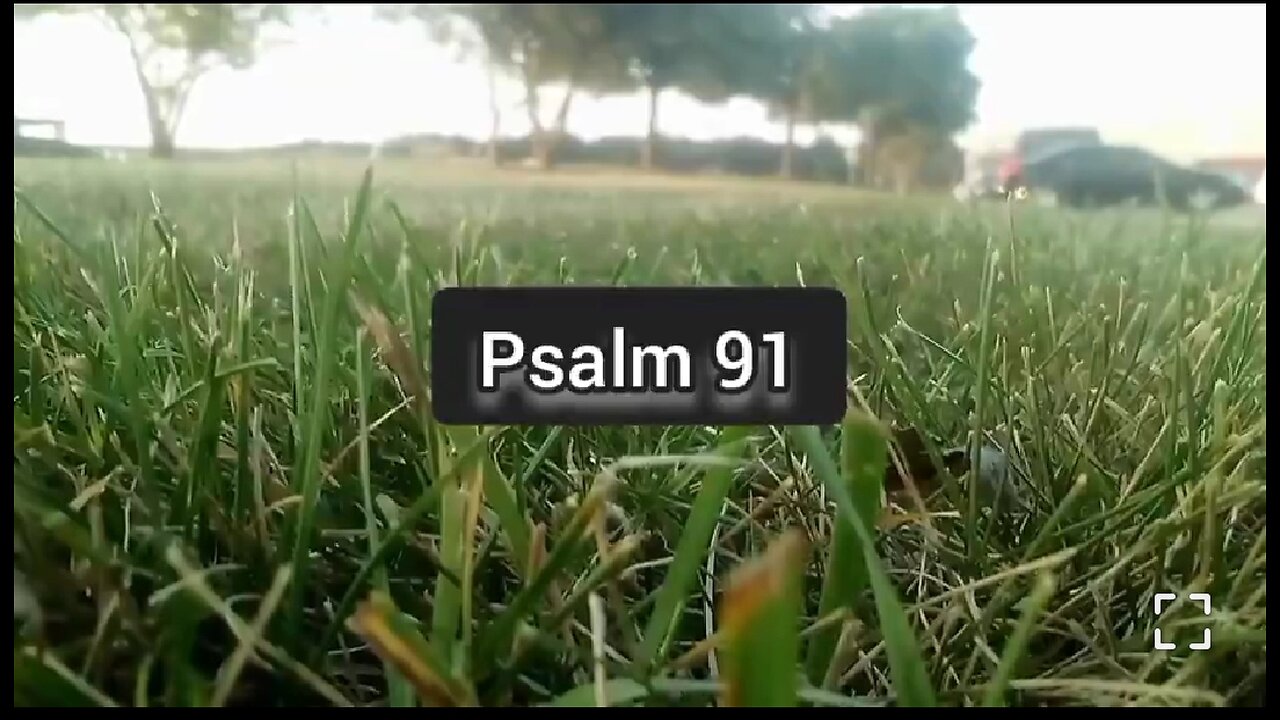 VICTORY OVER GUILT - DAILY DEVOTIONAL