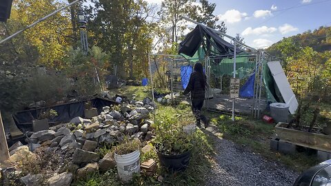 10/21/23 Ruth on the farm doing chores