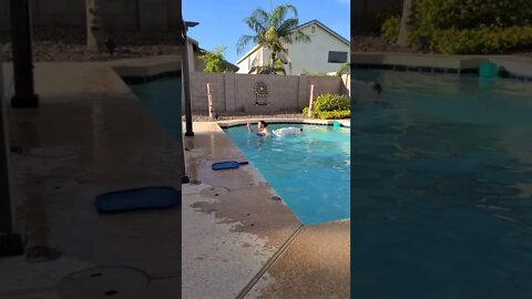 Puppy jumping into pool (Slo Motion)
