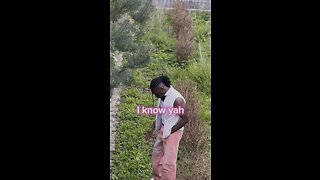 Let’s go on a date