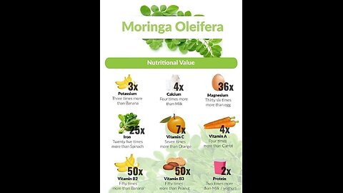 Unlocking the Nutritional Power of Moringa Oleifera: Benefits and Insights