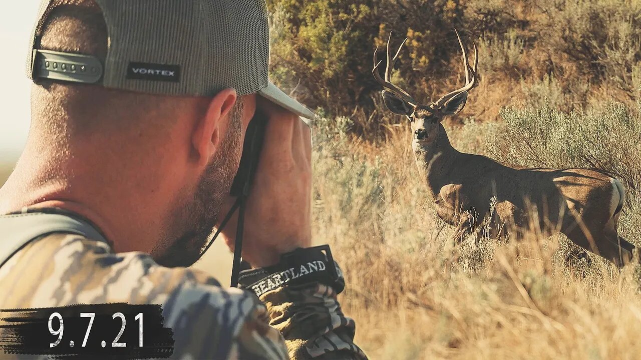 Up CLOSE & BAREFOOTED With A Montana MULEY!