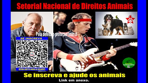 Mark Knopfler [dire straits] convida para Setorial Direito dos Animais. Se inscreva.