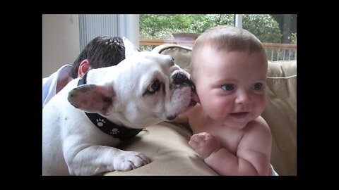 Funny Babies and Animals Video THE BEST Adorable Baby and Animals Compilation