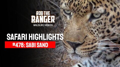 Safari Highlights #478: 26 - 31 July 2017 | Sabi Sand Nature Reserve | Latest Wildlife Sightings