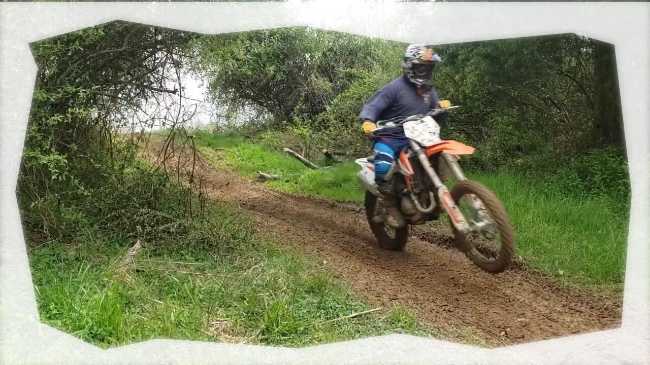 I'm loving my KTM 450 !