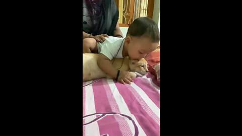 Kid attack on cat 🐈