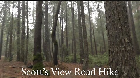 Scotts View Road Walk