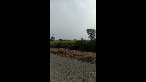 Road ripper video