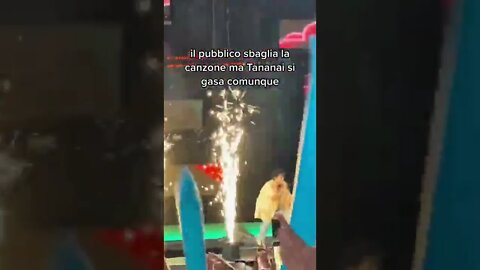 I fan di Tananai sbagliano la canzone e lui …