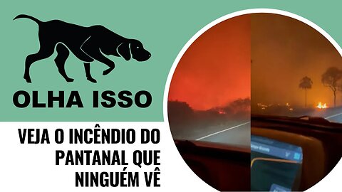 VEJA O INCÊNDIO DO PANTANAL QUE NINGUÉM VÊ