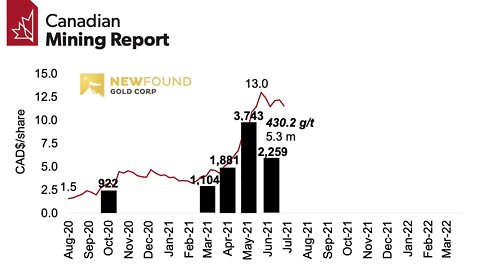 New Found Gold Drilling Results and Share Price Performance