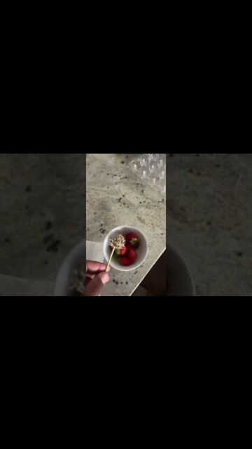 #strawberries and garlic flowers