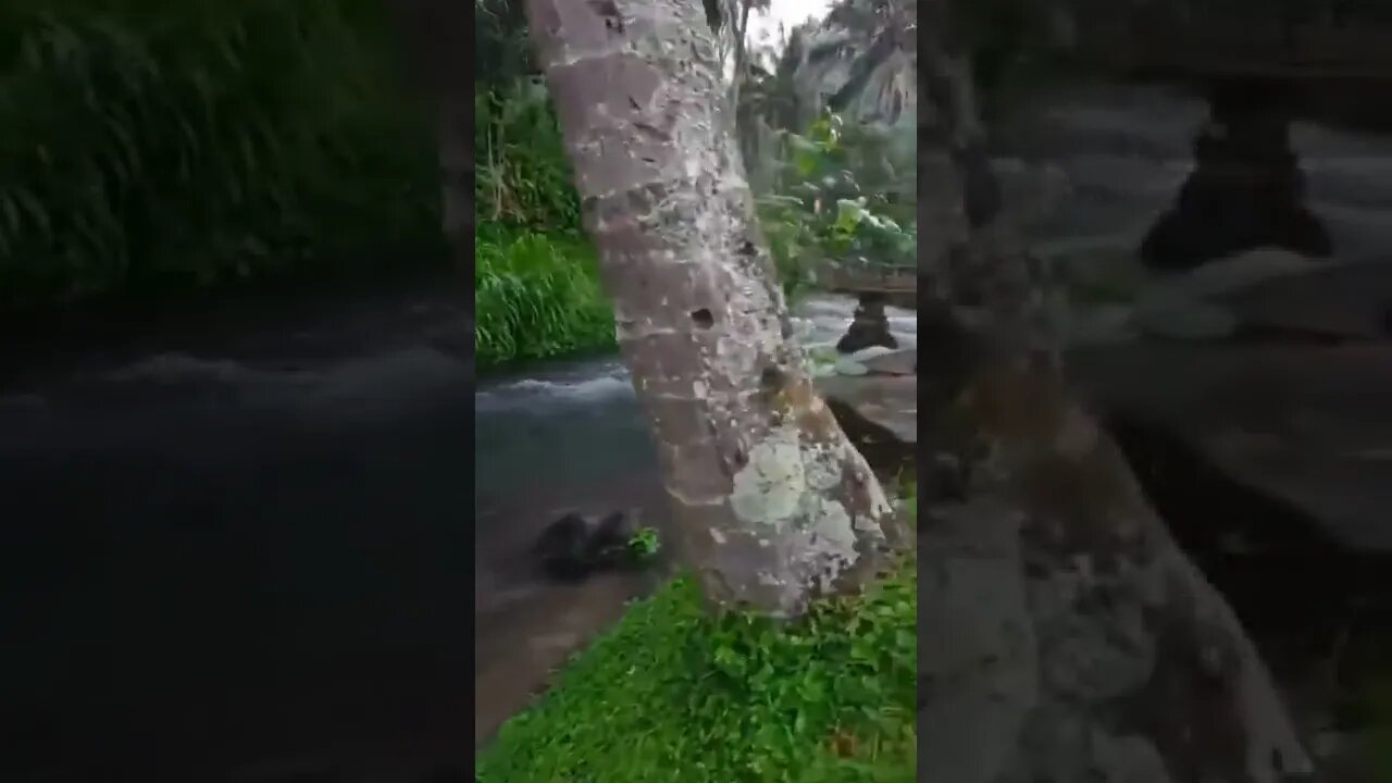 A paz fala por si ....