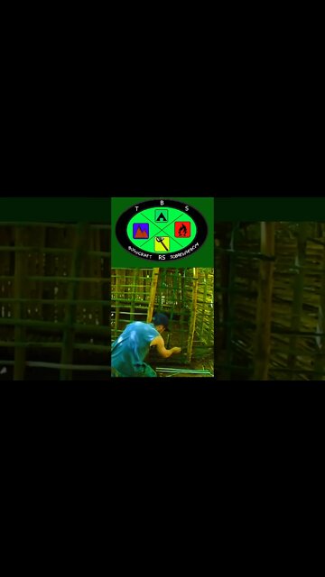 Abrigo Permanente de Bambu (Bamboo Shelter) #shorts #bushcraf #sobrevivência #shortsbushcraft