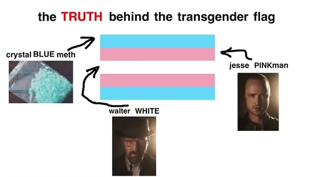 the TRUTH behind the transgender flag