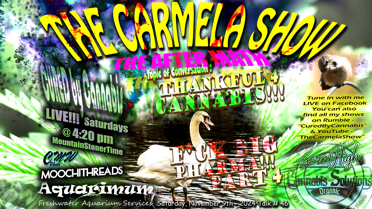 The Carmela Show TALK# 46 - "Thankful 4 Cannabis - F*cK BiG PhaRma - PART 4"