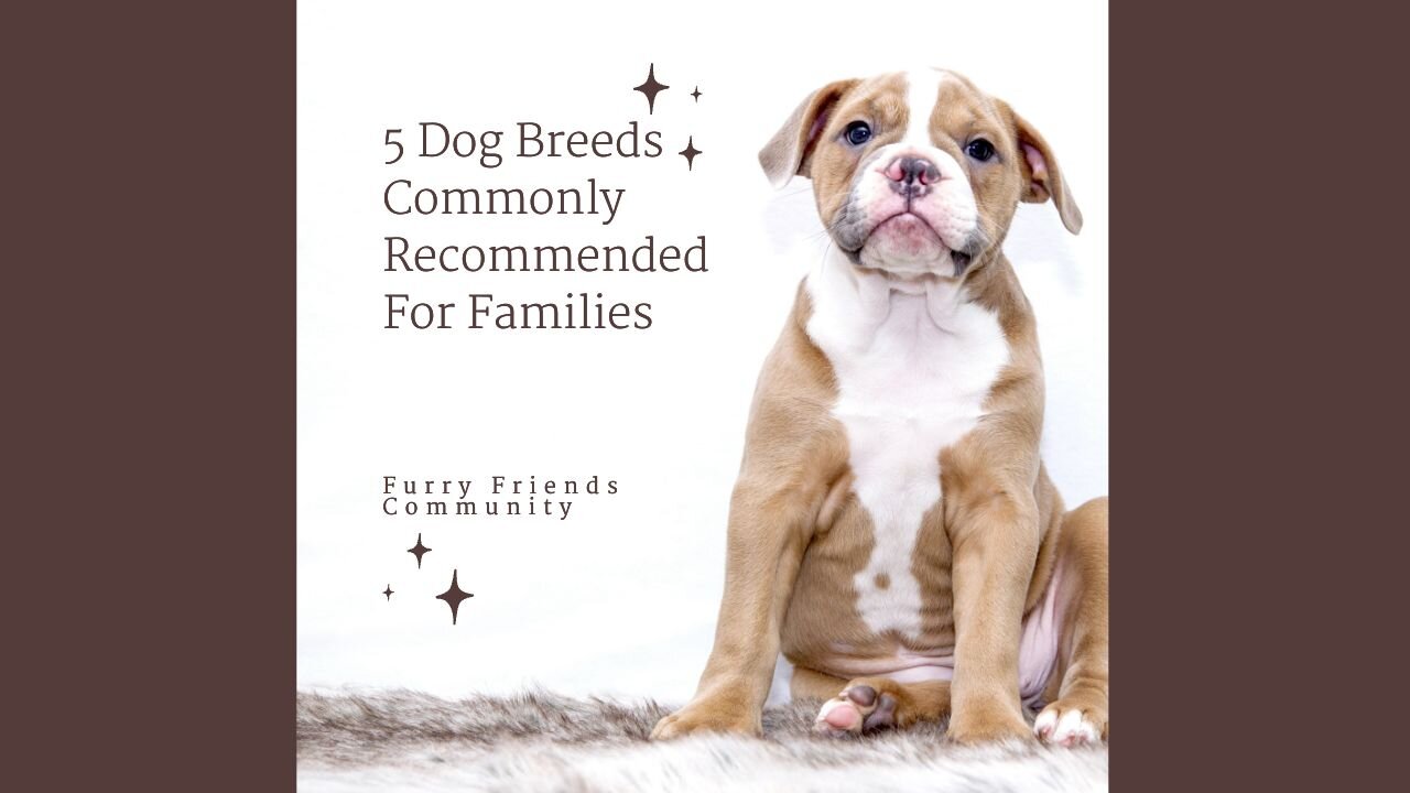 5 Dog Breeds Commonly Recommended For Families