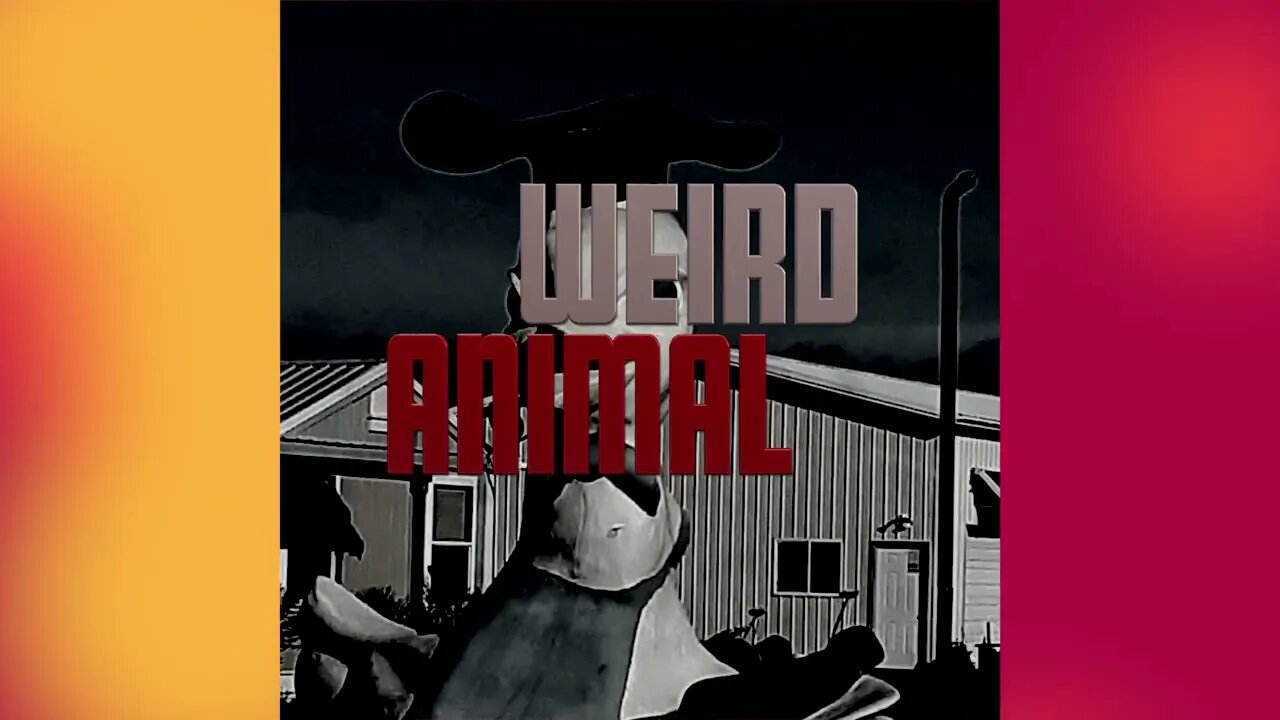 Weird Animal June
