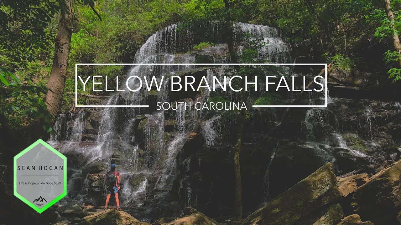 Yellow Branch Falls, SC -- 4K Cinematic