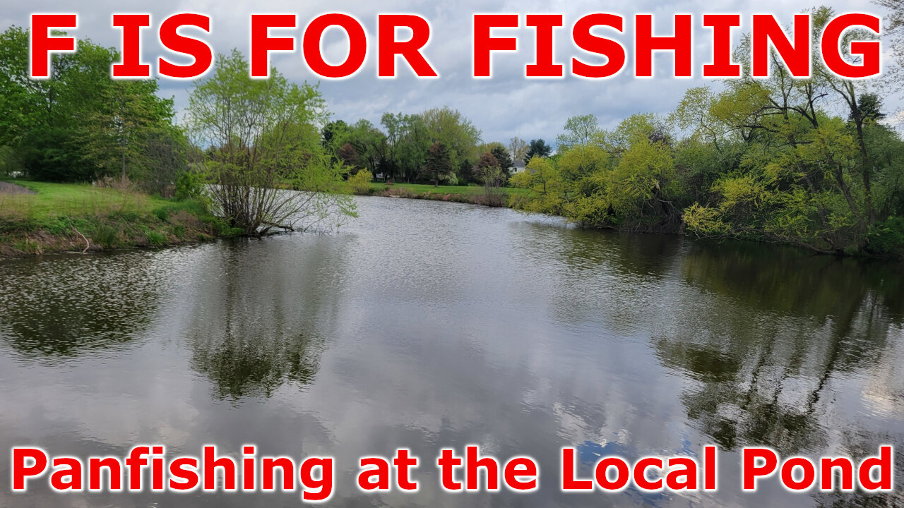 Panfishing at the Local Pond