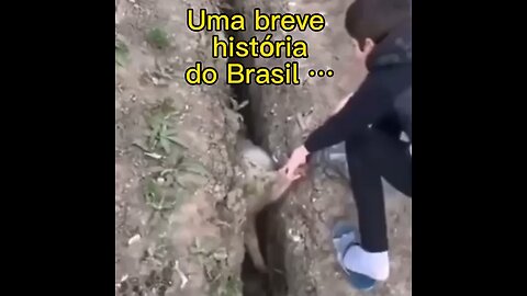 Uma breve história do Brasil