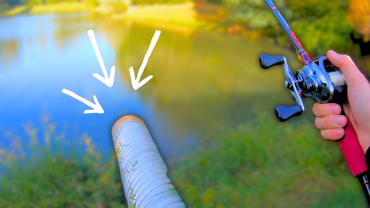Fall Fishing For Bass - Bank Fishing