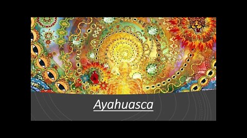 Ayhuasca Evidence - Risks & Side Effects