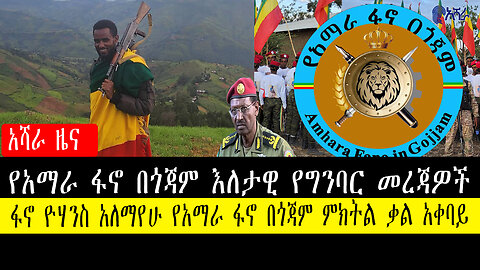 የአማራ ፋኖ በጎጃም እለታዊ የግንባር መረጃዎች ፋኖ ዮሃንስ አለማየሁ የአማራ ፋኖ በጎጃም ምክትል ቃል አቀባይ