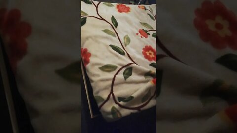 The Cats New home ❤️