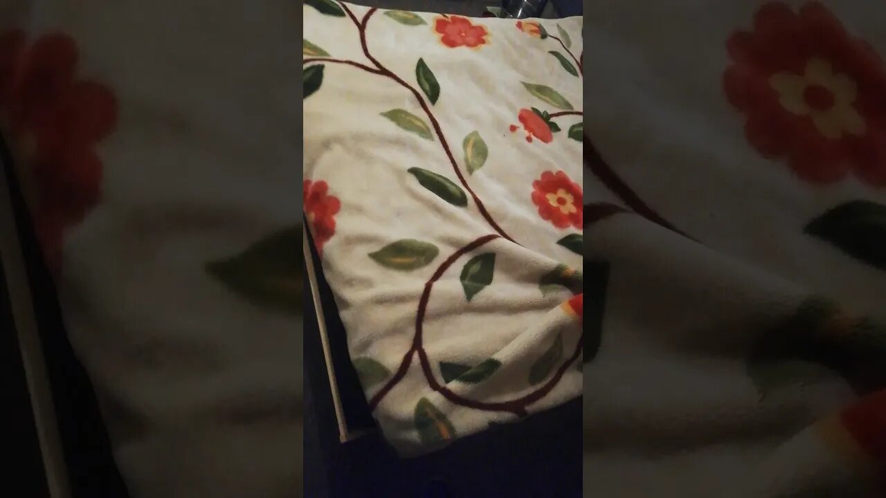 The Cats New home ❤️