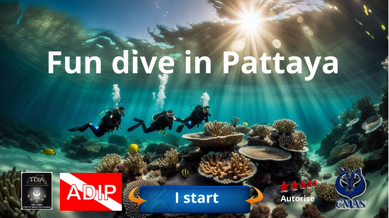 Fun dive in Pattaya with the 5 stars Dive Academy Thailand Diving