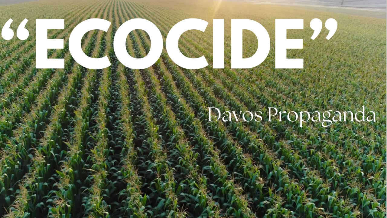 Ecocide | Newest propaganda buzzword